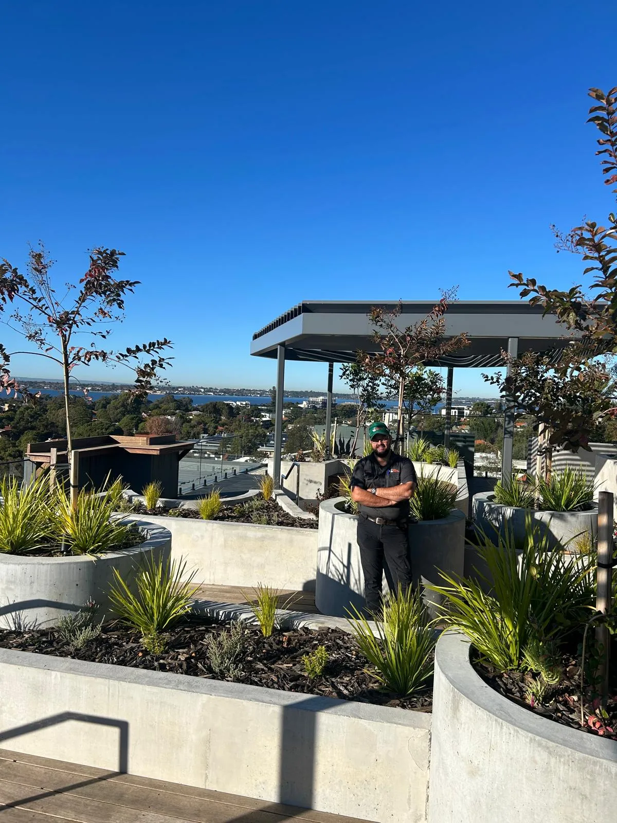 Garden workers installing plants in a commercial Perth landscape.