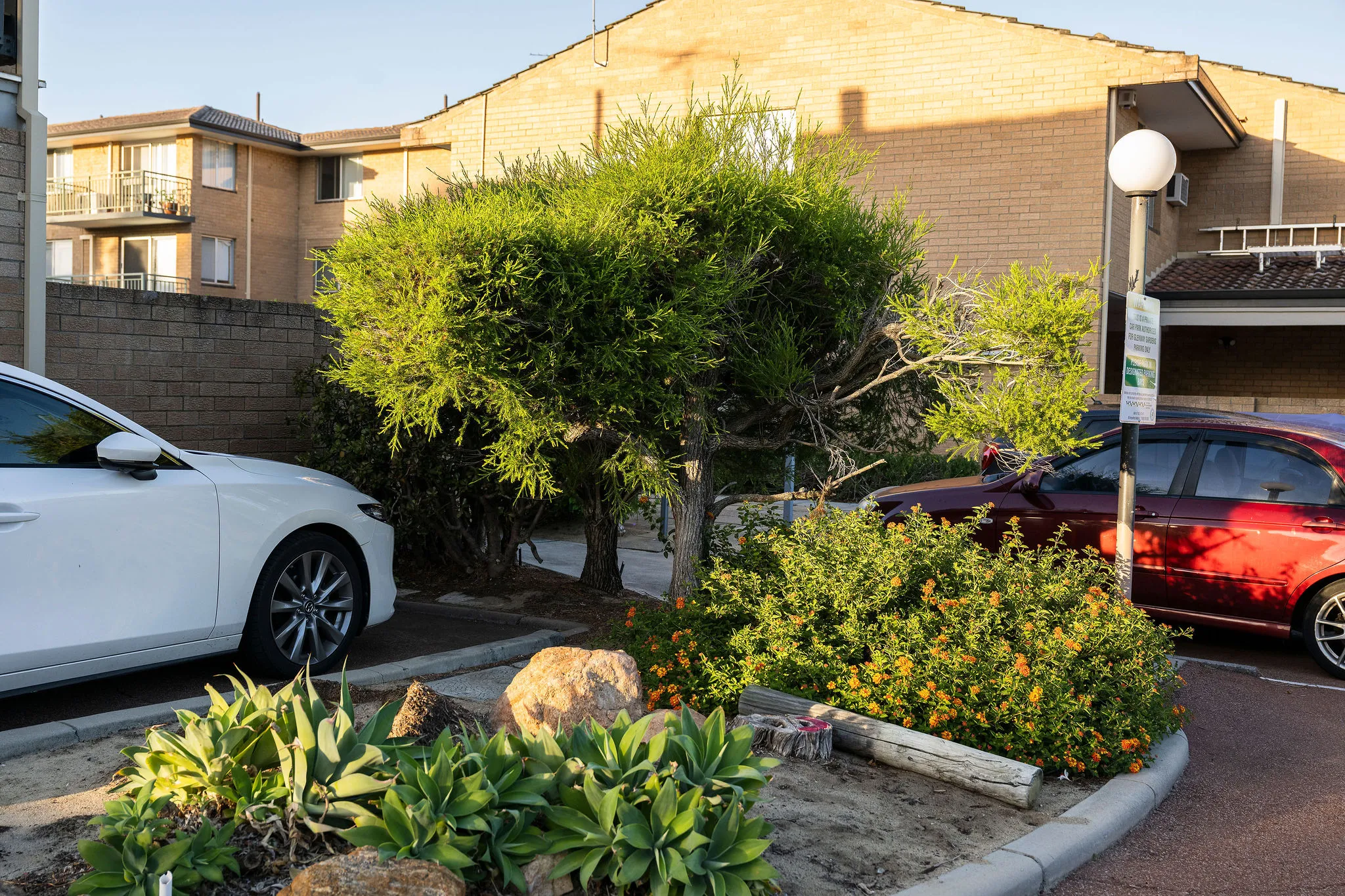 Swan Gardens Evolution team clearing green waste at a Perth property.